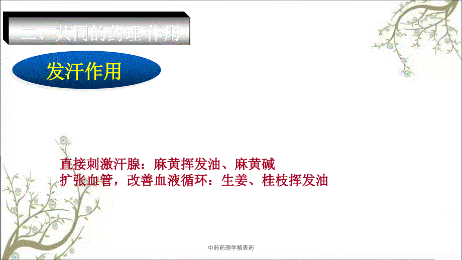 中药药理学解表药_第3页