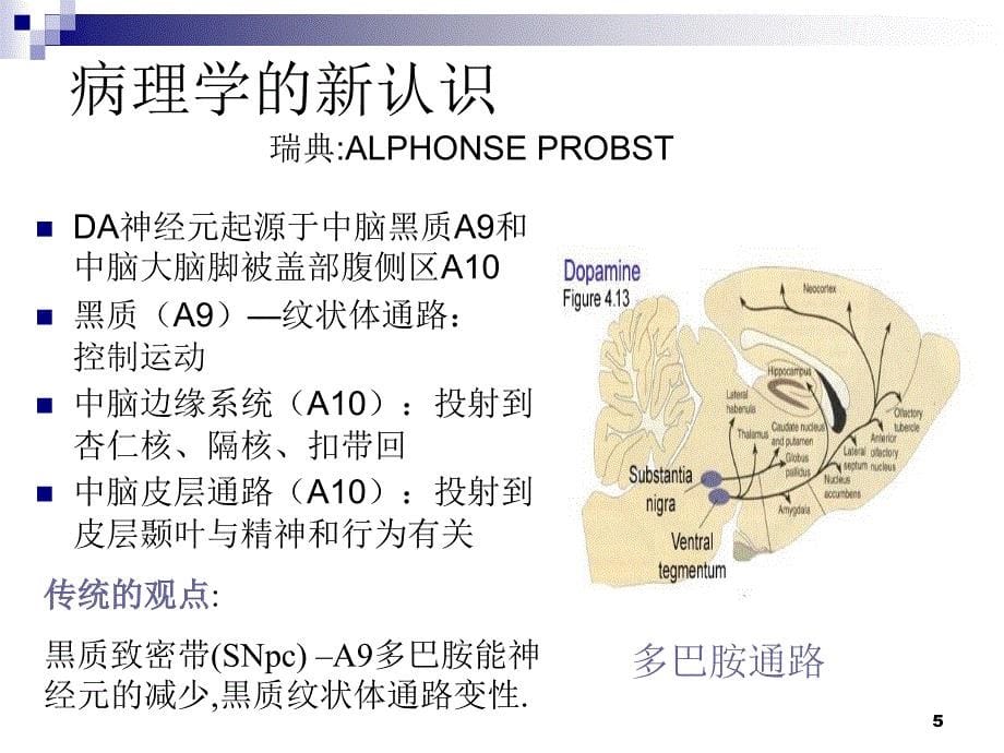 帕金森病的神经影像学PPT课件_第5页