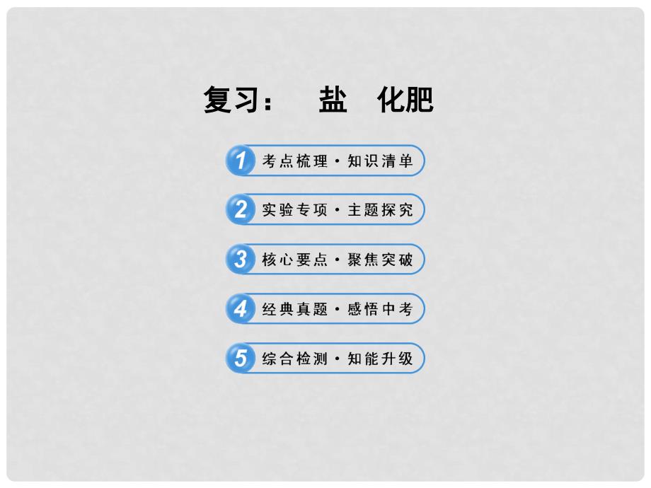 江苏省常州市潞城中学九年级化学下册 第十一单元 盐、化肥课件 新人教版_第1页