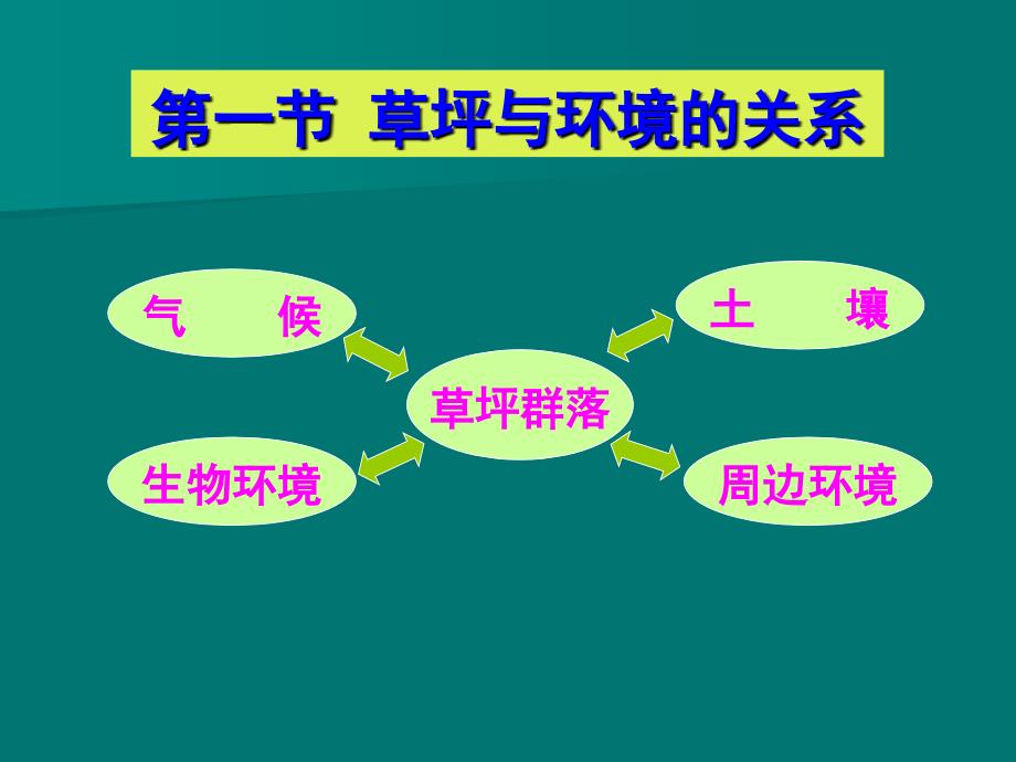 《草坪生物学基础》PPT课件_第2页