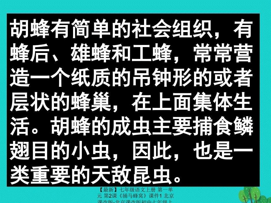 最新七年级语文上册第一单元第2课捅马蜂窝课件1北京课改版北京课改版初中七年级上册语文课件_第5页