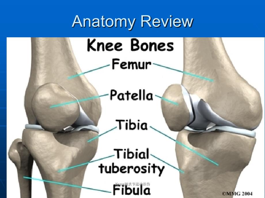 Knee膝关节运动损伤课件_第3页