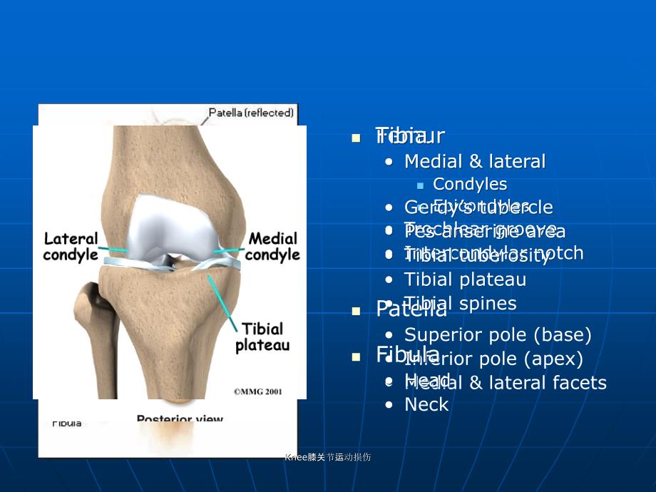 Knee膝关节运动损伤课件_第4页