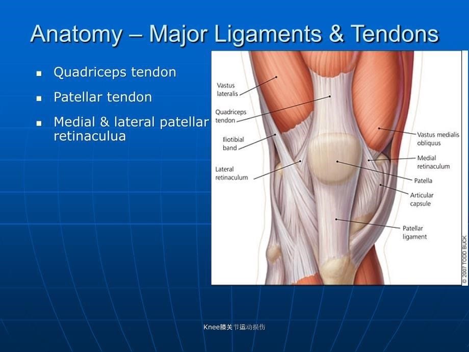 Knee膝关节运动损伤课件_第5页