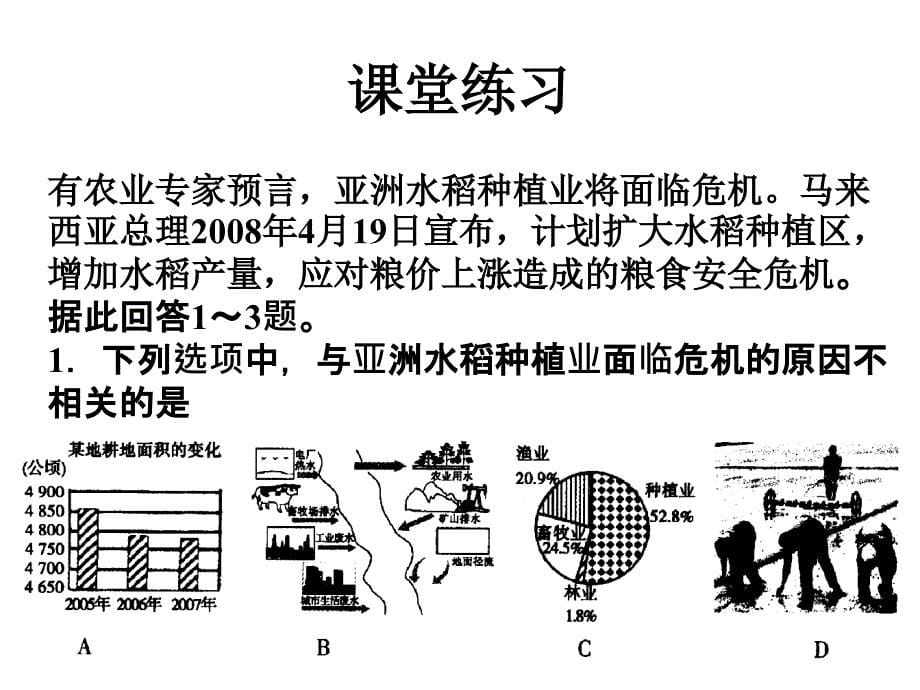 第二节以种植业为主的农业地域类型_第5页