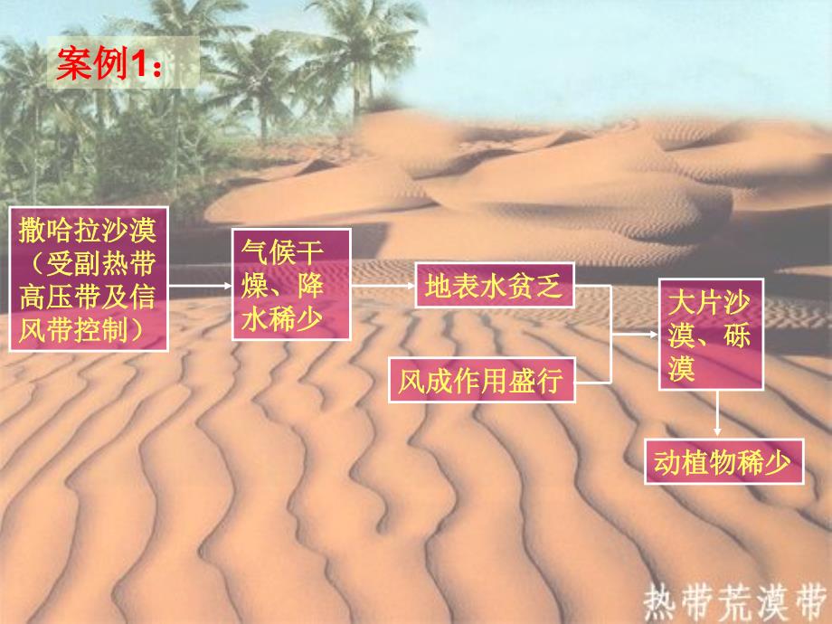 地理环境的地域分异规律.ppt_第4页