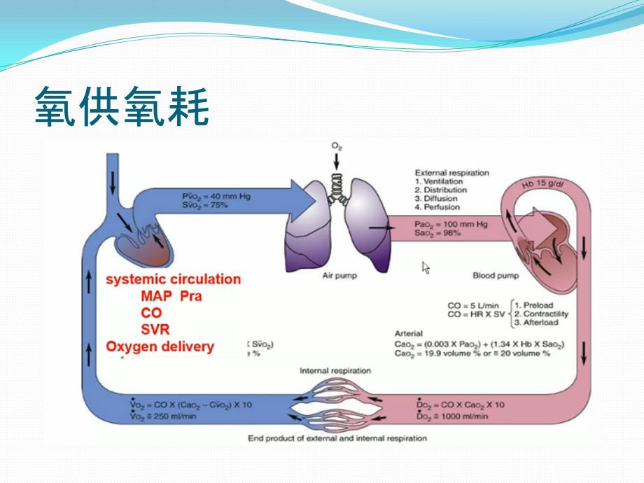 氧供氧耗课件整理版_第3页