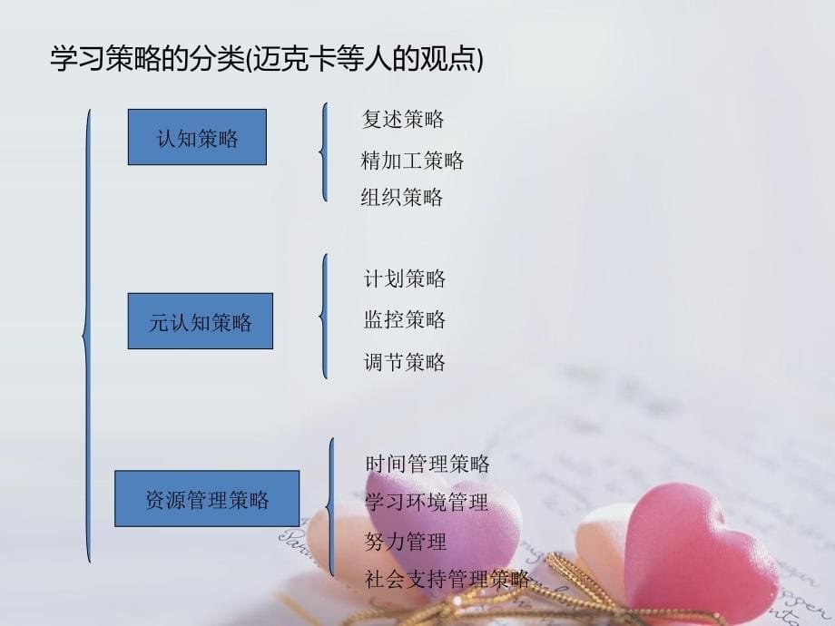 学习策略新进展讲义_第5页