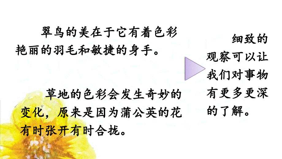 统编本语文三年级上册习作我们眼中的缤纷世界.ppt_第4页