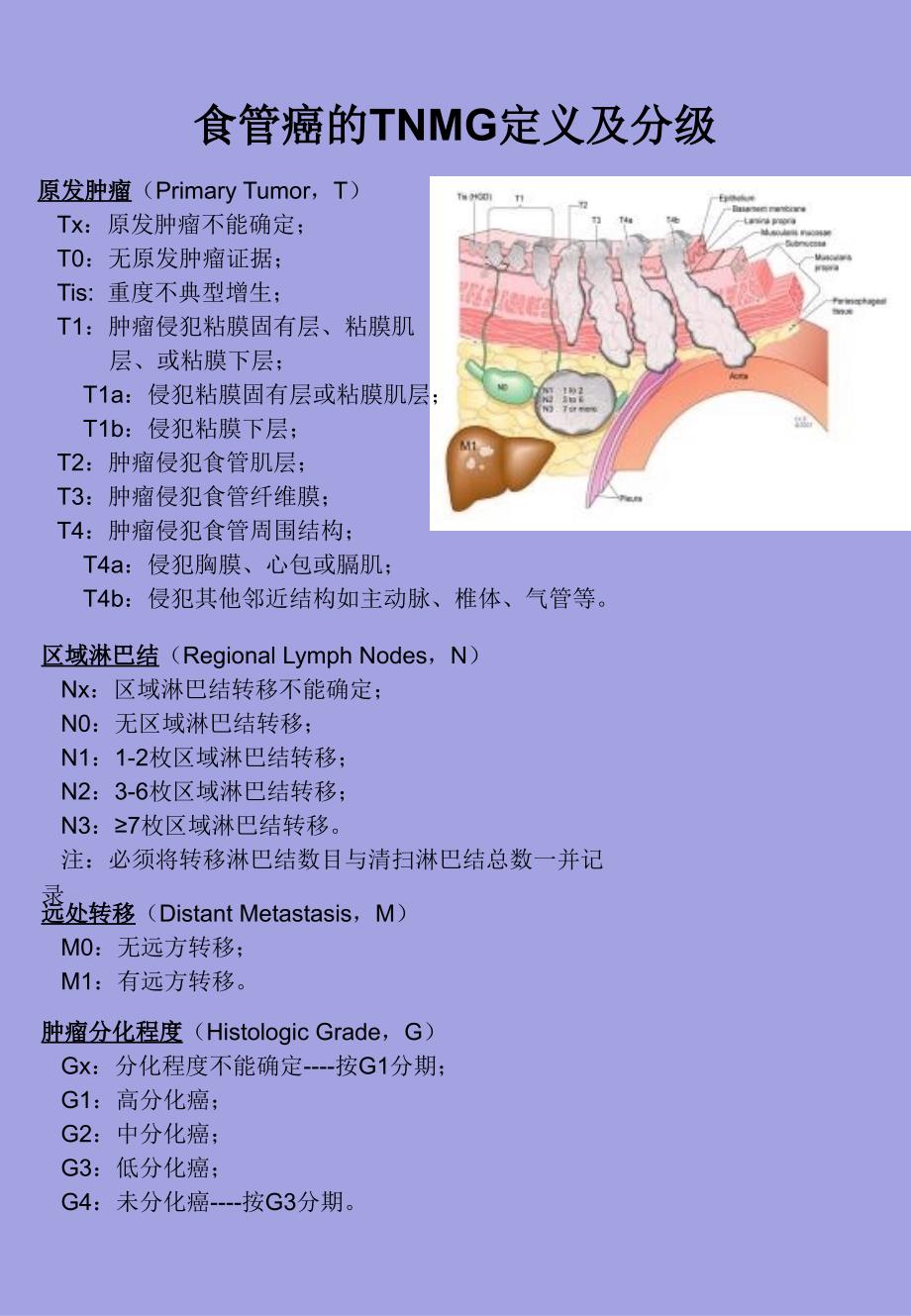 食管癌肺癌TNM分期_第2页