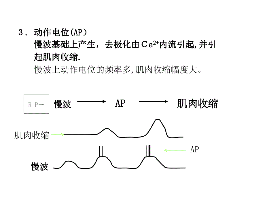 吸收的概念及消化方式_第4页