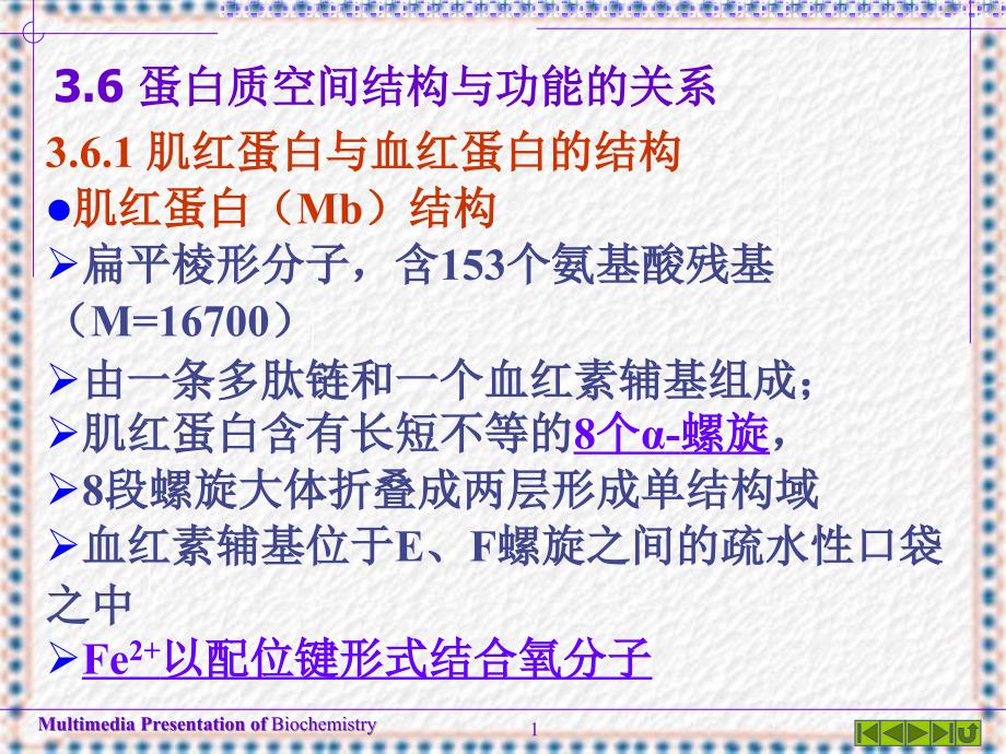 蛋白质的高级结构PPT课件_第1页