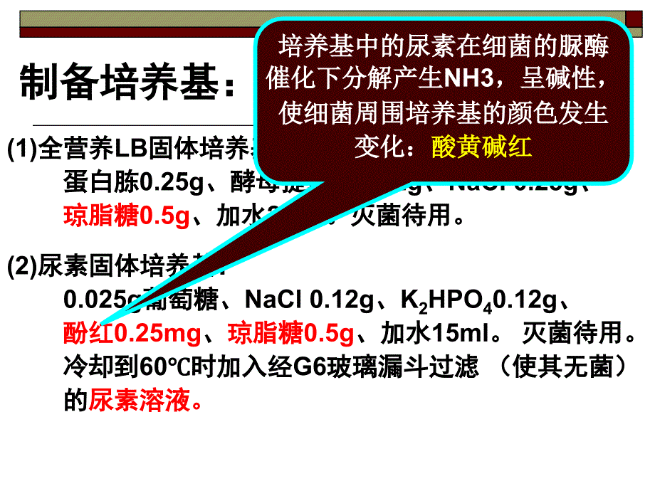 高中生物选修实验2分离以尿素为氮源的微生物_第4页