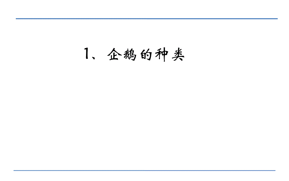 三年级下册语文课件登上企鹅岛语文S版_第4页