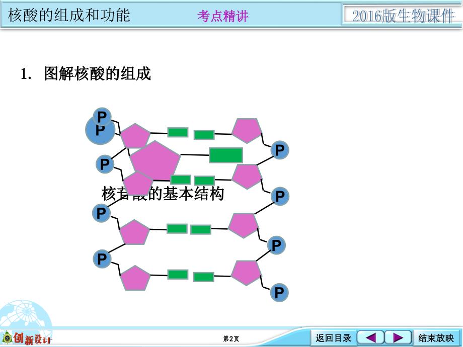 1108基础考点强化类核酸的结构与功能_第2页