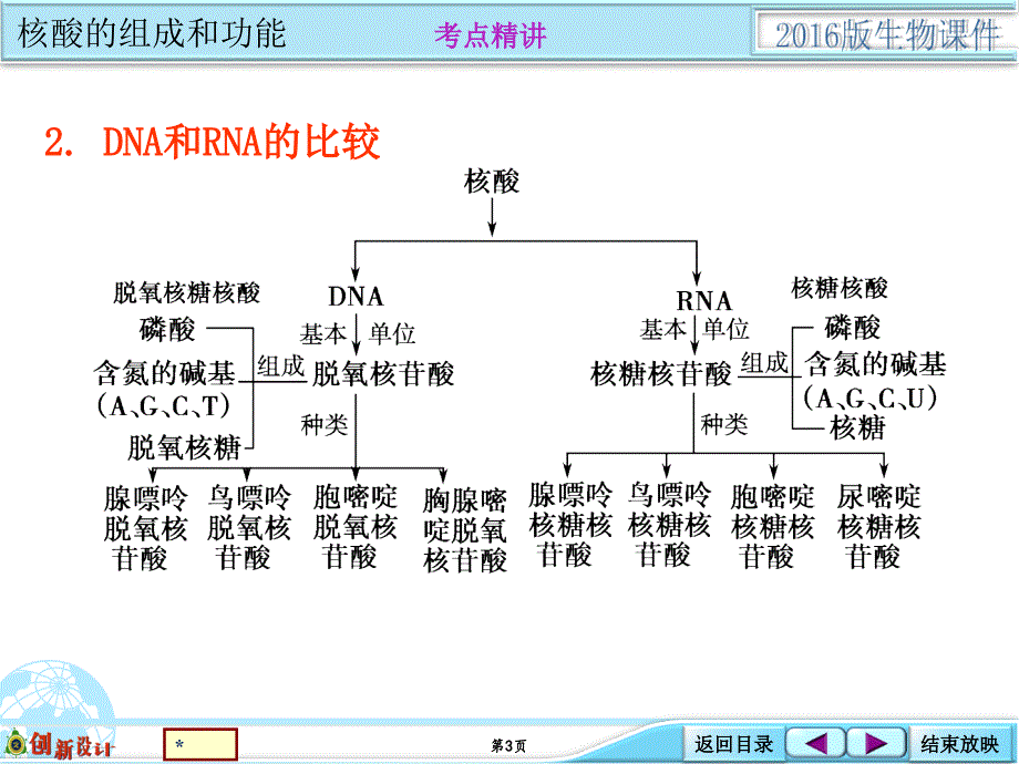 1108基础考点强化类核酸的结构与功能_第3页