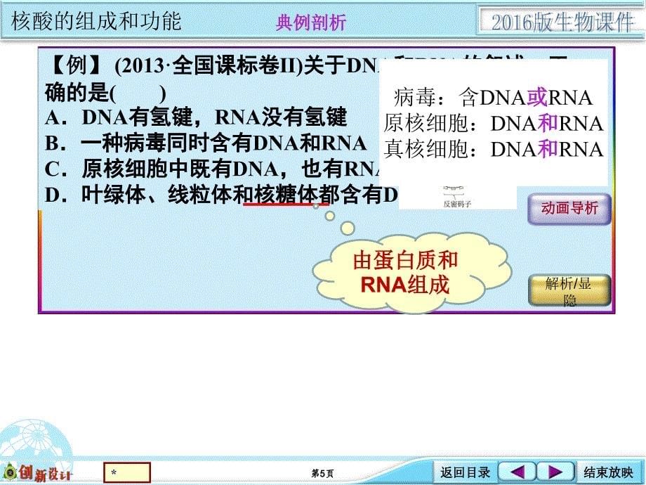 1108基础考点强化类核酸的结构与功能_第5页