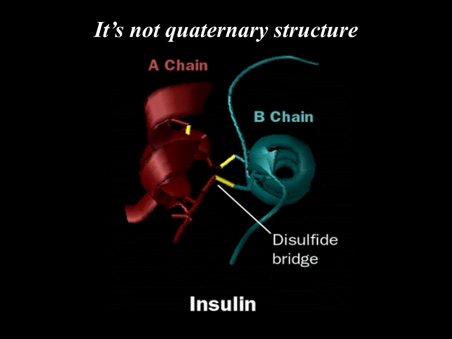 生物化学课件：6 3D Structure of Proteins_第3页