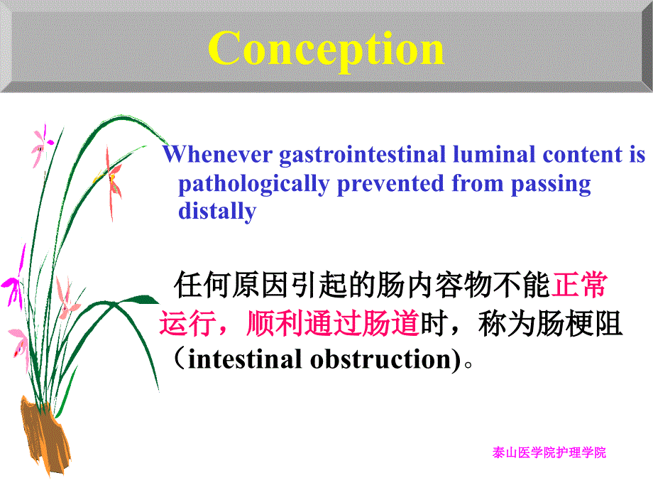 外科肠梗阻课件_第4页