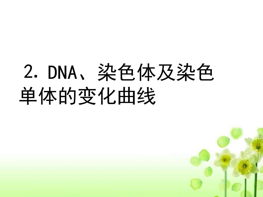 有丝分裂过程中的染色体、DNA和染色单体的变化规律_第3页