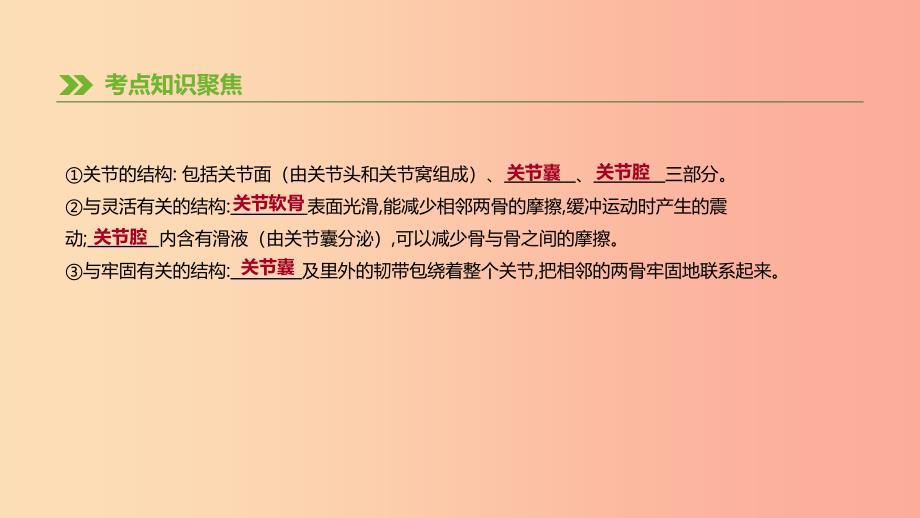 2019年中考生物专题复习五生物的多样性及其保护第20课时动物的运动和行为课件新人教版.ppt_第3页