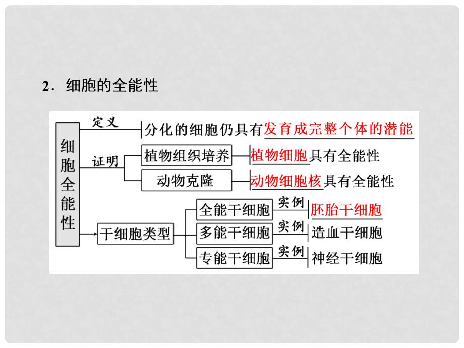 高三生物一轮复习 第四单元 细胞的生命历程 第四讲 细胞的分化、衰老、凋亡和癌变课件（必修1）_第2页