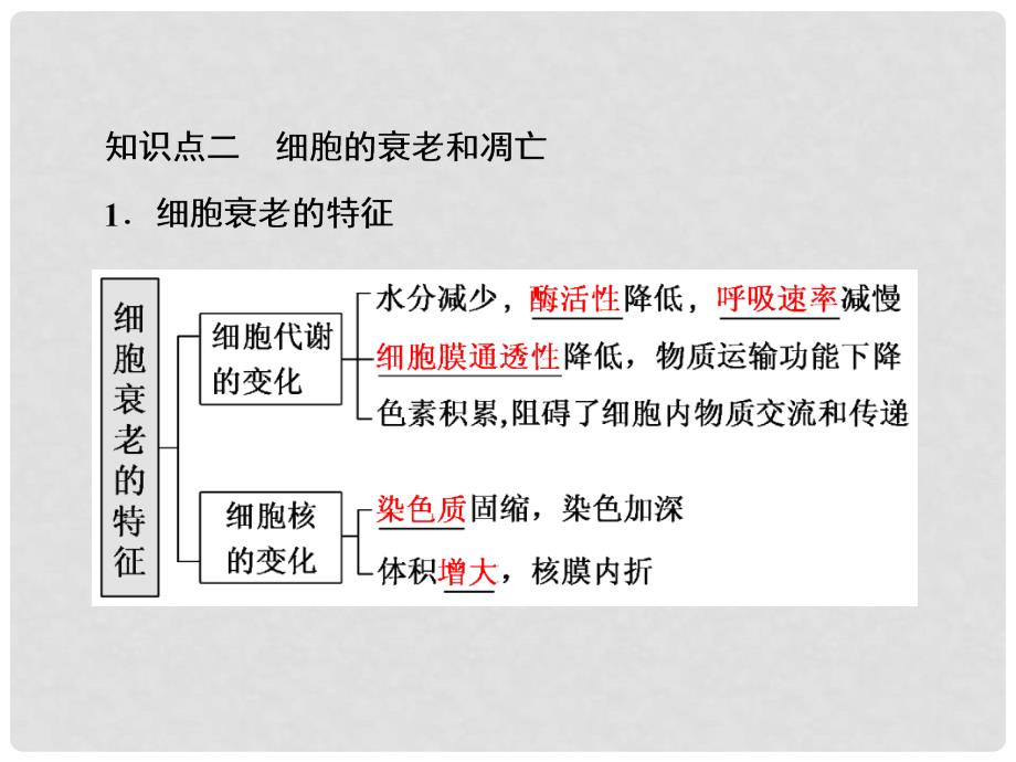 高三生物一轮复习 第四单元 细胞的生命历程 第四讲 细胞的分化、衰老、凋亡和癌变课件（必修1）_第3页