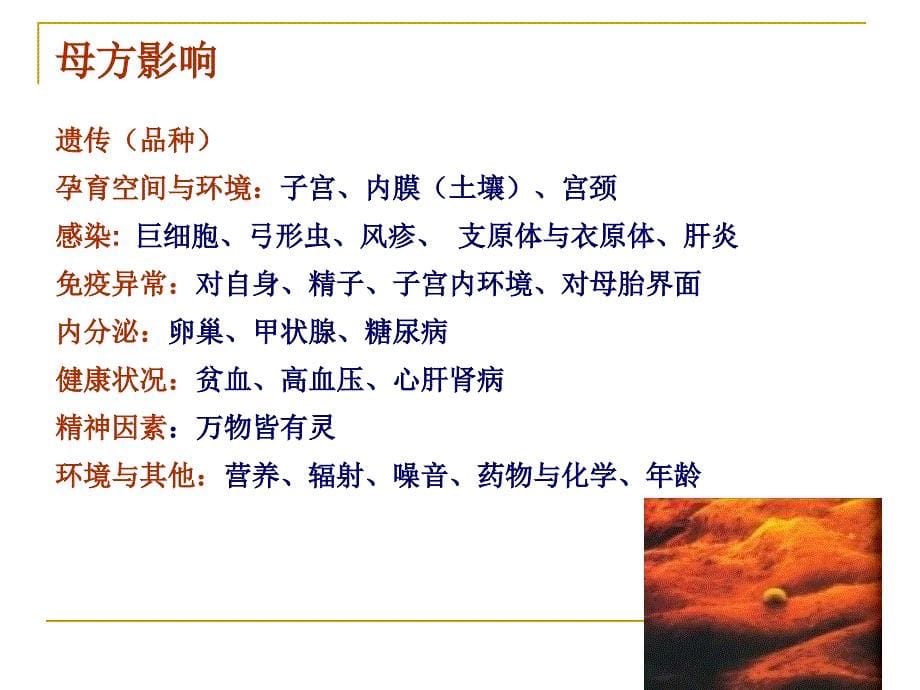 优生优育知识讲座.ppt_第5页