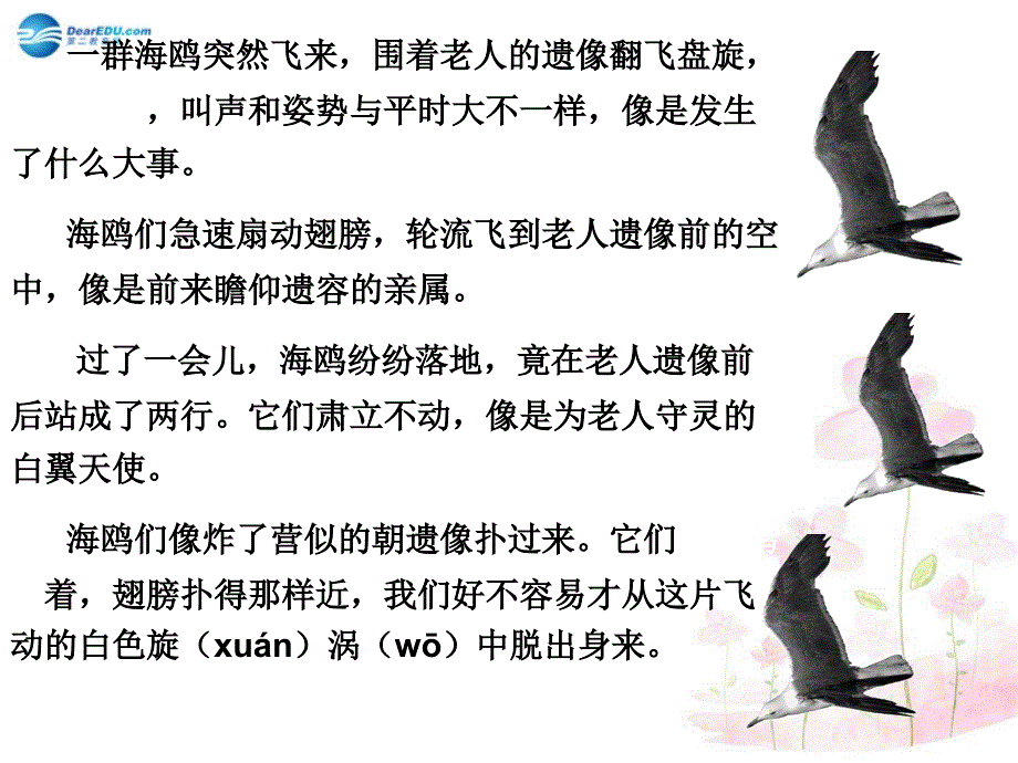 六年级语文上册《老人与海鸥》课件新人教版(1)_第4页