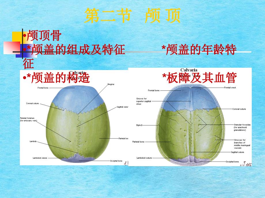 颅脑解剖分析ppt课件_第3页