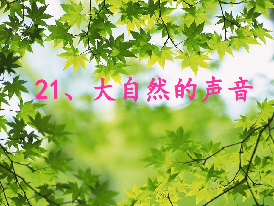 21-大自然的声音2_第1页