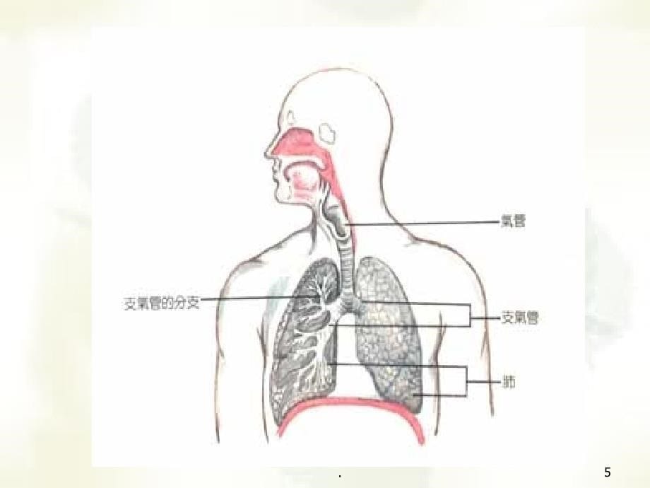 常见内科疾病防治ppt医学课件_第5页