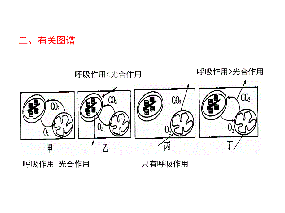 光合作用一轮复习_第3页