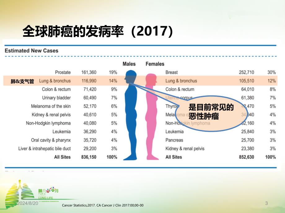 肺癌患者健康讲座-肺癌免疫治疗PPT参考课件_第3页