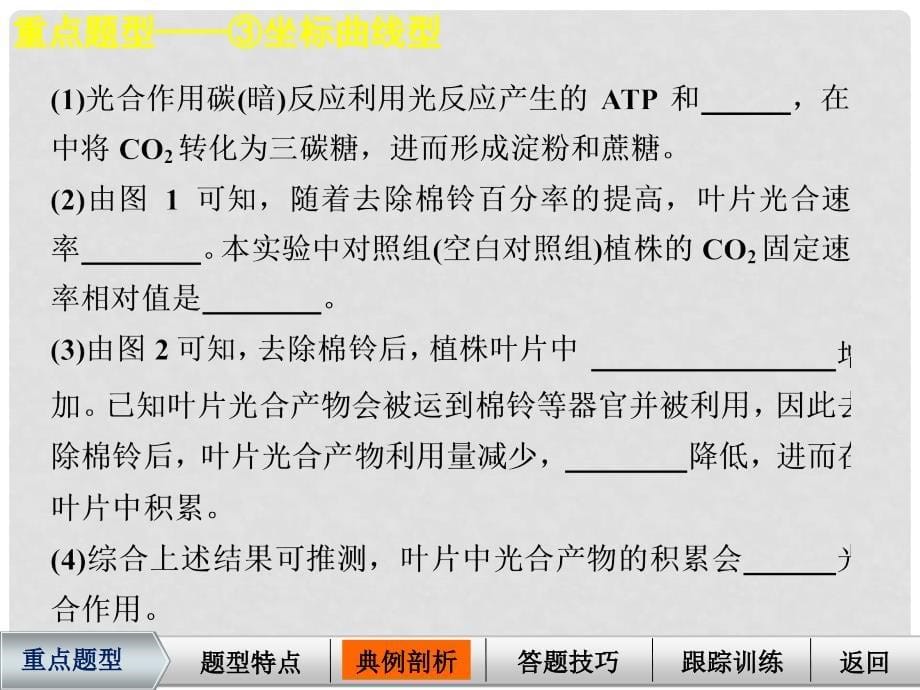 高三生物一轮复习 考能专项突破（三）课件 新人教版必修2_第5页