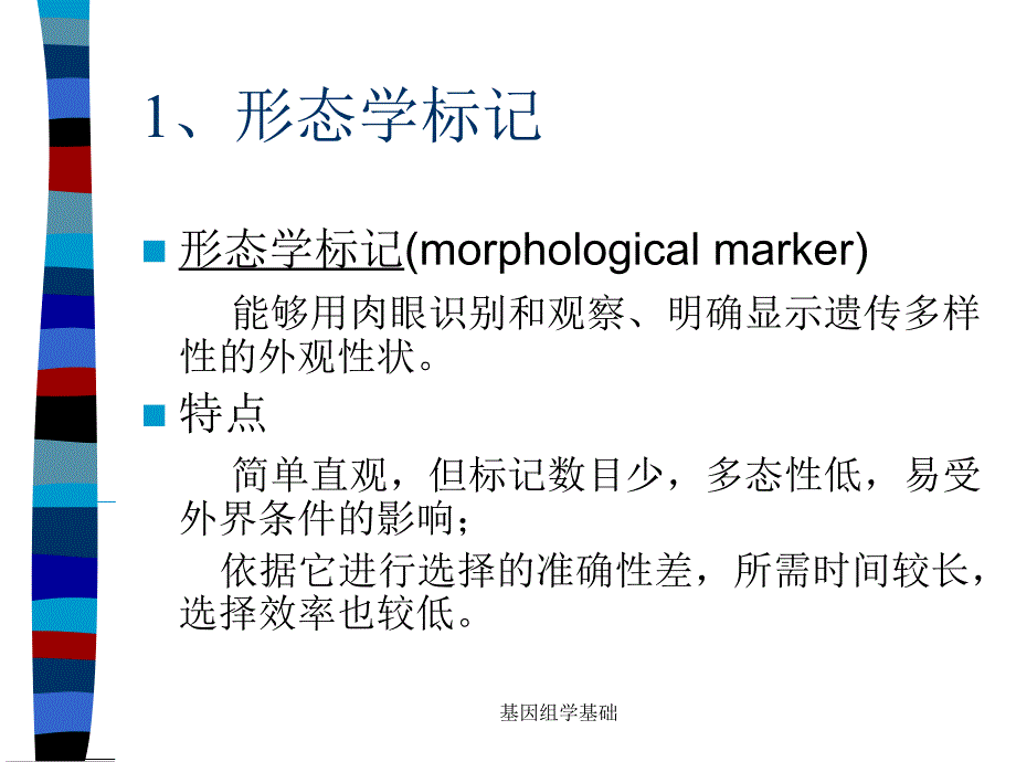 基因组学基础课件_第4页