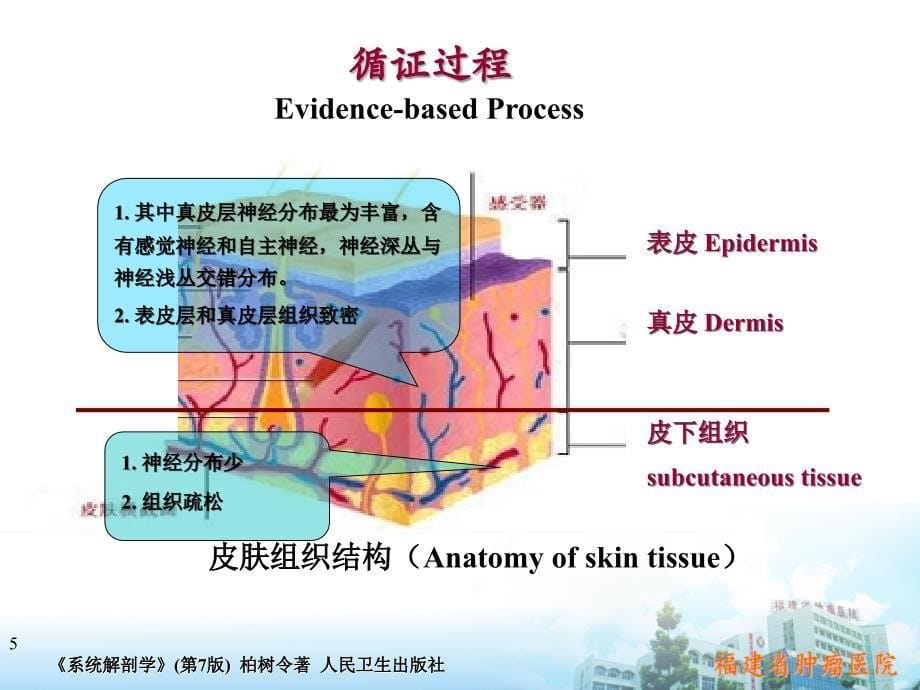 减轻疼痛柯熹_第5页