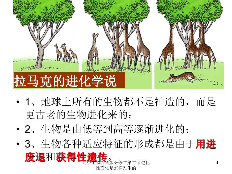 高中生物浙科版必修二第二节进化性变化是怎样发生的课件_第3页