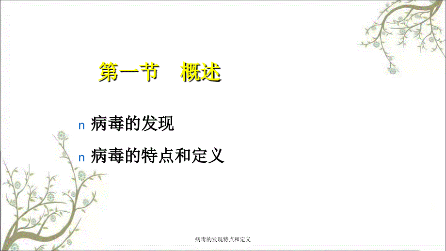 病毒的发现特点和定义课件_第2页