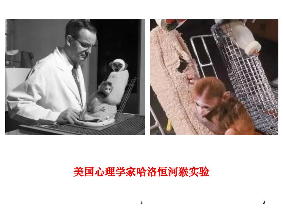 如何给到孩子心理营养_第3页