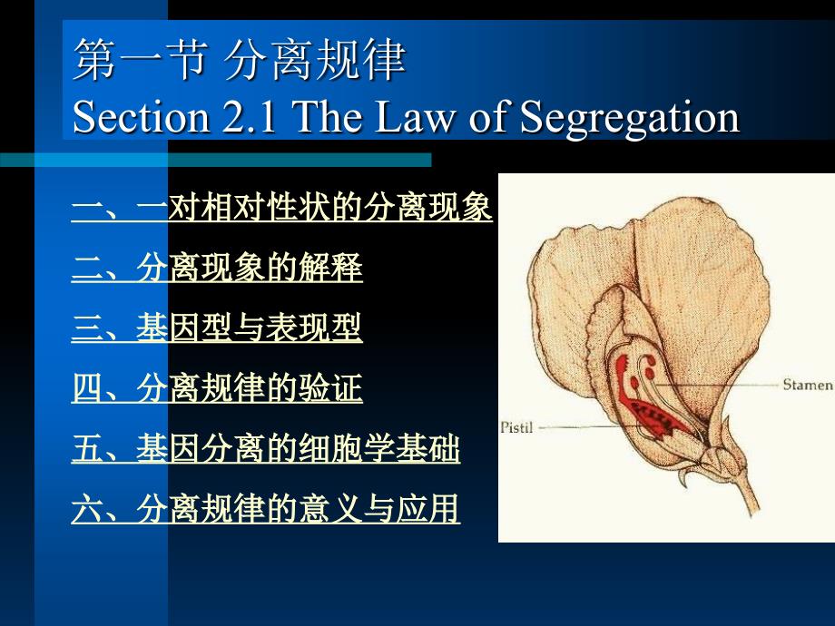 医学遗传学第三章第一节分离规律_第1页