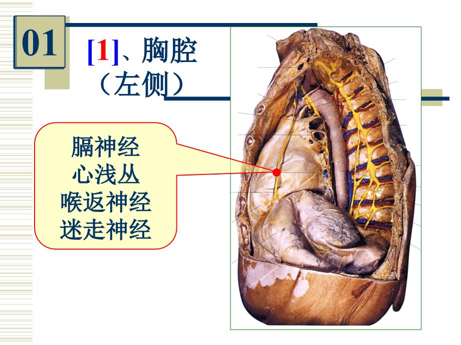 局解实验考 (3)_第3页