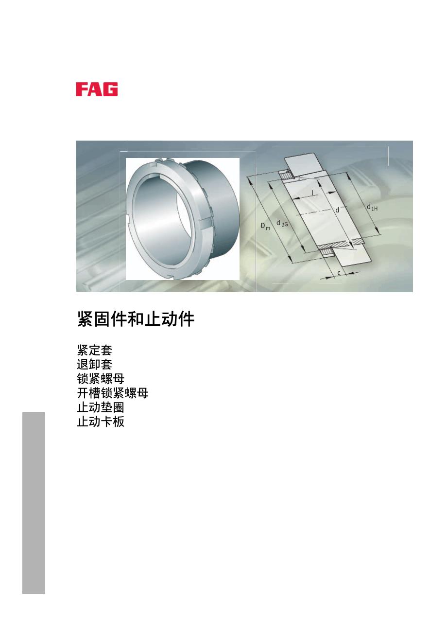 INAFAG轴承样本中文版-紧固件和止动件4953_第1页