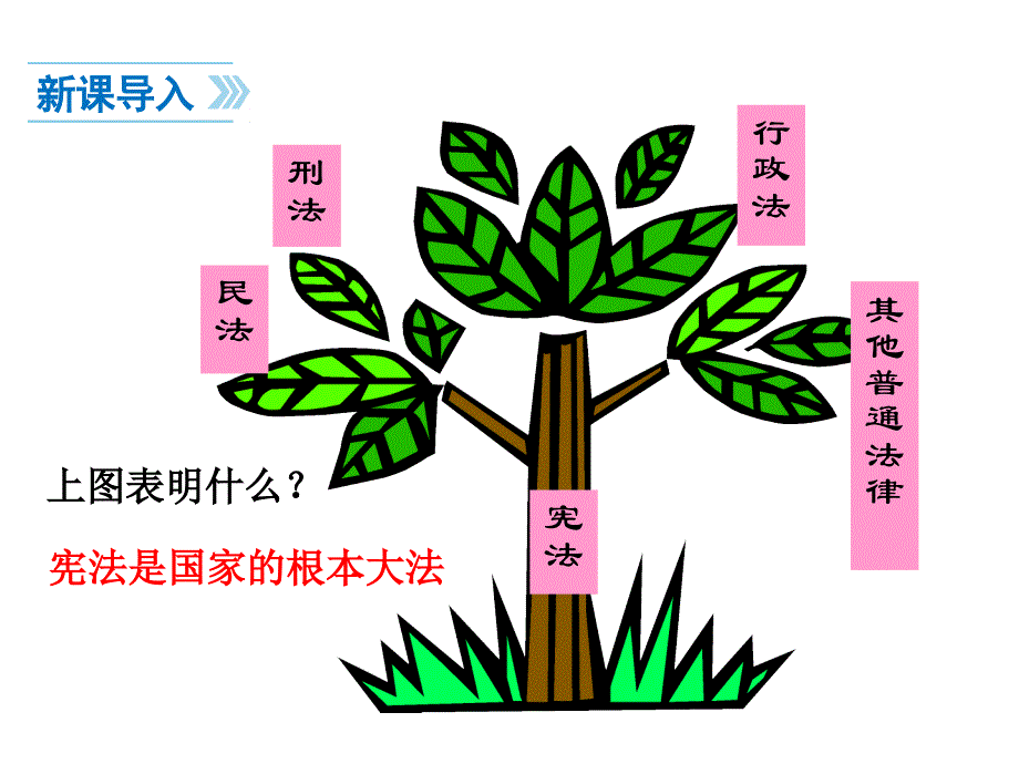 宪法是国家的根本大法（共33张PPT）_第4页