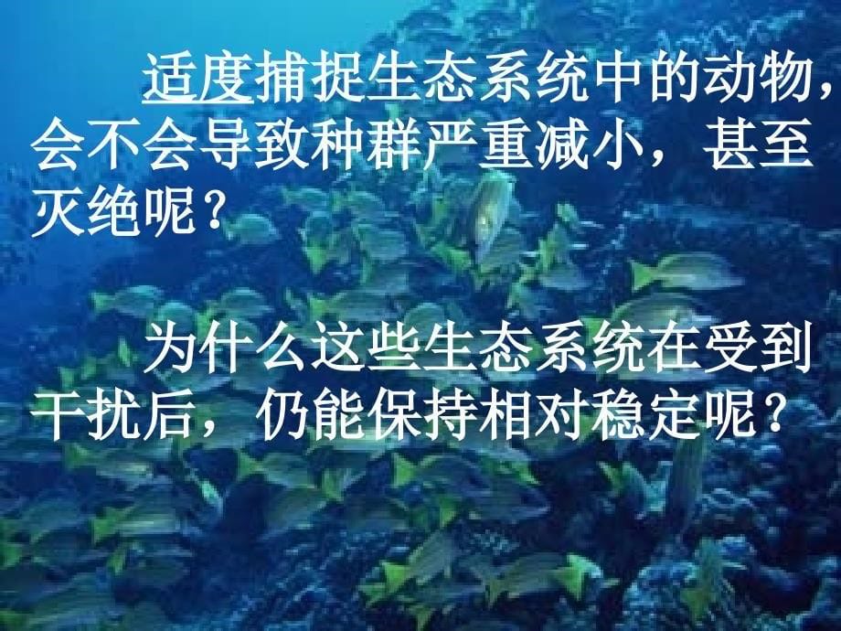 生态系统的稳定性来自抵抗力稳定性和恢复力稳定性两课件_第5页