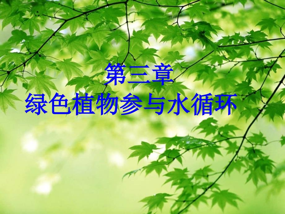 绿色植物与生物圈的水循环_第1页