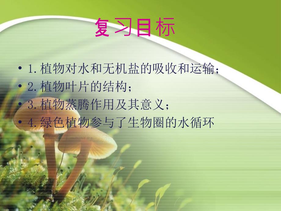 绿色植物与生物圈的水循环_第2页