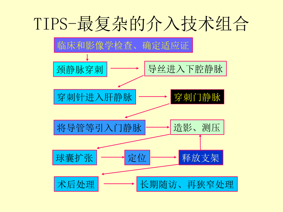 TIPS—技术挑战与风险ppt课件_第3页