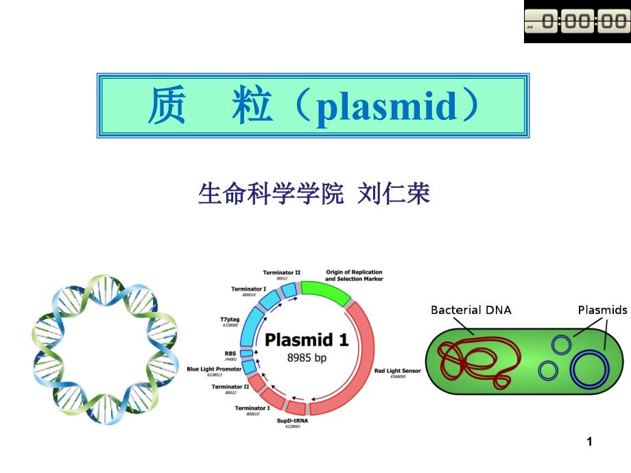 质粒文档资料_第1页