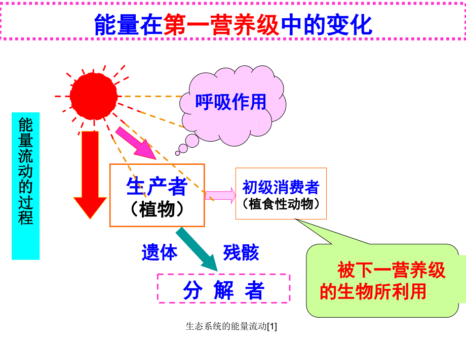 生态系统的能量流动1_第4页